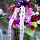 누님들이 생일이라고 한의원으로 꽃을 보내주셨네요,, 이미지