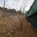 물골농장 이미지