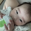 더 리얼핏 | 닥터브라운 유리젖병 모윰 젖꼭지 호환될까? 3세대 리얼핏 내돈내산 후기
