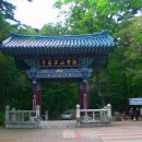 싱그러운청도로(가을) 이미지