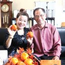 조준호농장 이미지