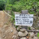 장안한옥민박 이미지