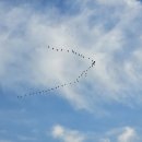 알파와오메가 이미지