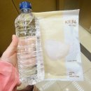240330 세븐틴 팔로우 어게인 인천 후기