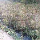 동강공인중개사사무소 이미지