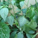 다우림어린이집 이미지