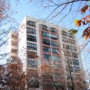 중앙공인중개사사무소 이미지