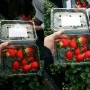 양평농장 이미지