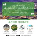 태양청과야채 | 서면피클스 전포동 | 분위기+맛 다 잡은 부산 피자 맛집