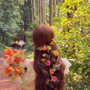 시그니처제이 이미지