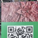 대한축산직판장 이미지