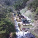 산삼자연휴양림(함양) | 함양 산삼자연휴양림 전국 최초 ‘반려견 전용 자연휴양림’