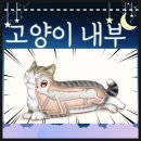 고양이는외계인 이미지