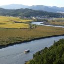 순천만 풍경 이미지