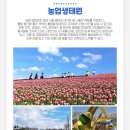 토닥토닥 | 부모님 효도 여행 후기 , 티머니GO추천 _제부도, 우리꽃식물원, 평택 꽃 축제 1탄