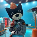 힐링스토어 | 성수 젤리캣 스페이스 팝업 스토어 종류, 가격, 현장 대기 입장 후기