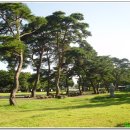 구송정 유원지 이미지