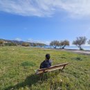 해변의 바람 이미지