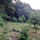 선현농장 이미지