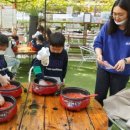 화진초등학교 이미지