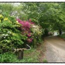 소너머곰탕 이미지