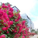 홈패션(심화) 이미지