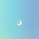 서미영 카카오 검색결과