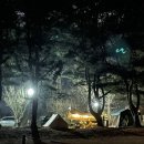 일영Star캠핑장 이미지