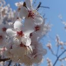 금오산길 이미지