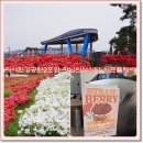 미사한강2호공원 이미지