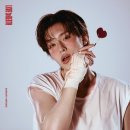 가온 티브이데일리