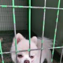 명호면사무소 이미지