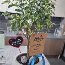 옥계서울떡집 이미지