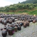 성흥농원 이미지