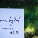 세모;별 | 호텔보다 만족스러웠다는 제주 독채숙소 세모별 후기 모음