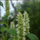 하이원콘도미니엄 이미지