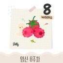[임신 8주차] 소화불량 속쓰림 코피 여드름 가슴통증 | 산부인과 선택팁 | 유전