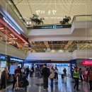 발리헬스 | 발리 비자, 관광세 총정리 | 전자세관신고서, 헬스패스까지 입국 준비 가이드