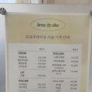 브로우바이슈 네이버블로그