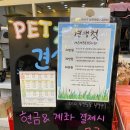 펫존&견생컷 이미지