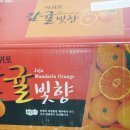 미하농장 | 노지감귤 직접키워 더 맛있는 '제주한라야'