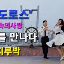 댄스댄스 스포츠댄스 이미지