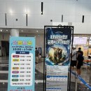 아토안경 | 국립대구과학관 태양주간관측부터 타임슬립 공룡전시까지! 여름방학 실내 체험 내돈내산 후기