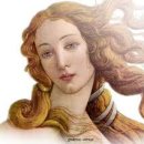 웰리스짐 이미지