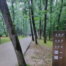 용건 Daum카페