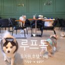 루프독 1027 네이버블로그