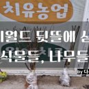 죠이월드 이미지