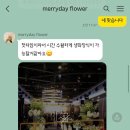 메리데이플라워