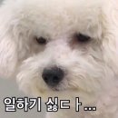 로또판매점 이미지