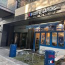 커피사피엔스 성공타워점 | 커피 사피엔스 수박 주스 시원한 여름 음료 후기